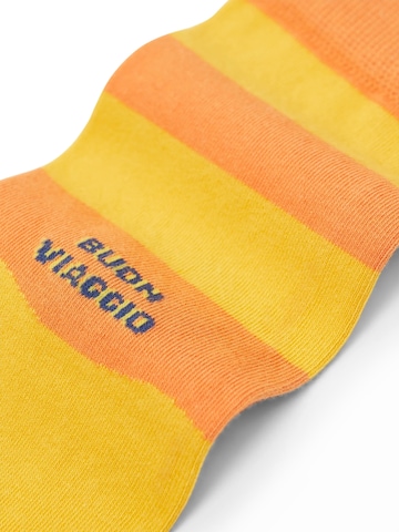 Von Jungfeld Socken 'Italy Icons' in Orange