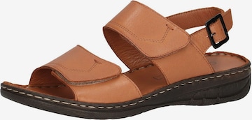 CAPRICE Sandals in Brown: front