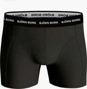 BJÖRN BORG Athletic Underwear in Mixed colors