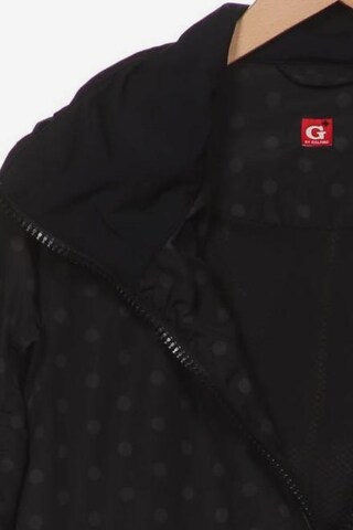 Golfino Jacket & Coat in XL in Black