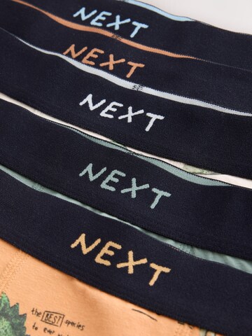 Next - Calzoncillo en beige