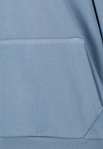 ZigZag Sweater 'Arizona' in Blue