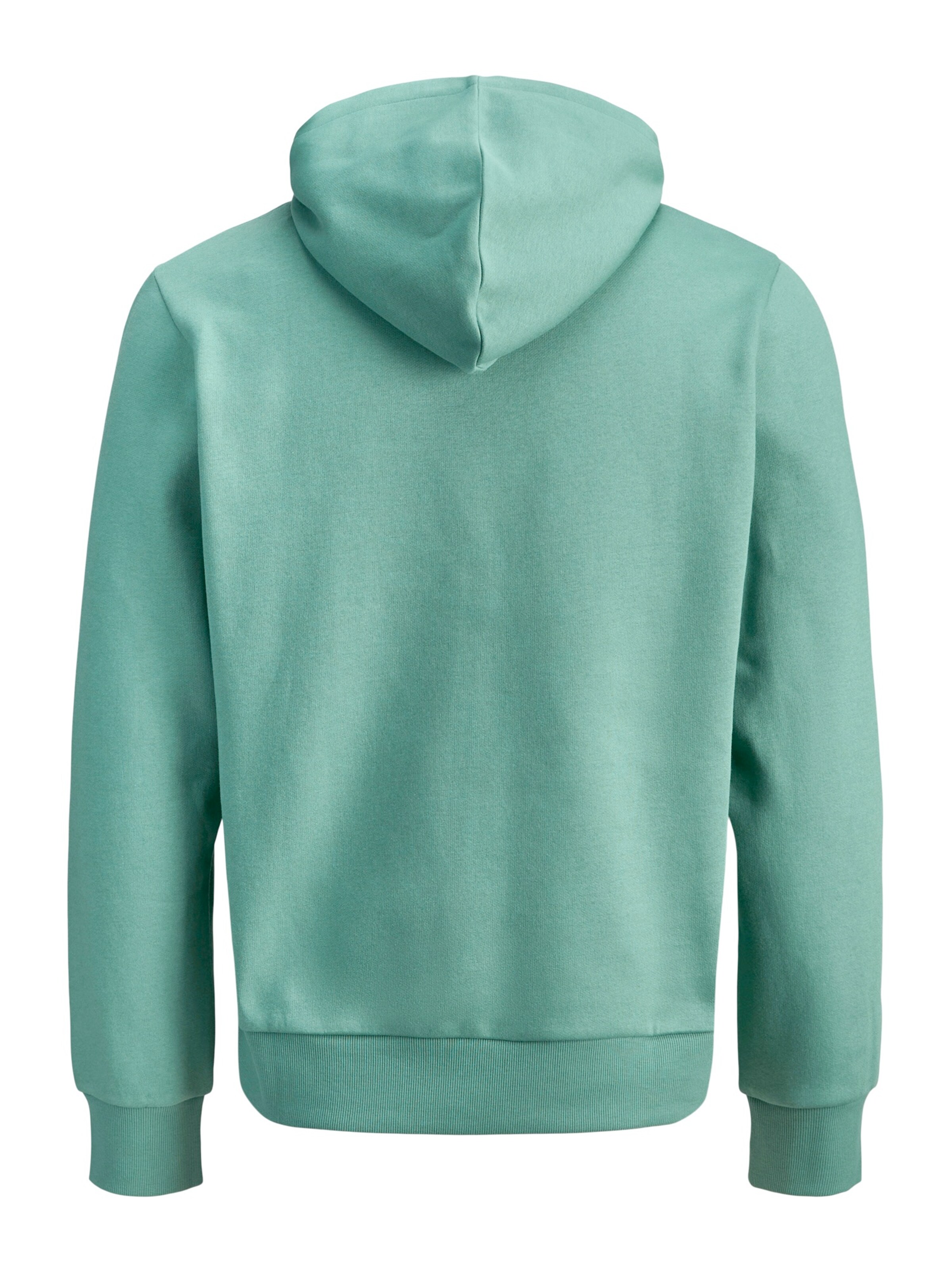 Jack & Jones Plus Sweatshirt in Green