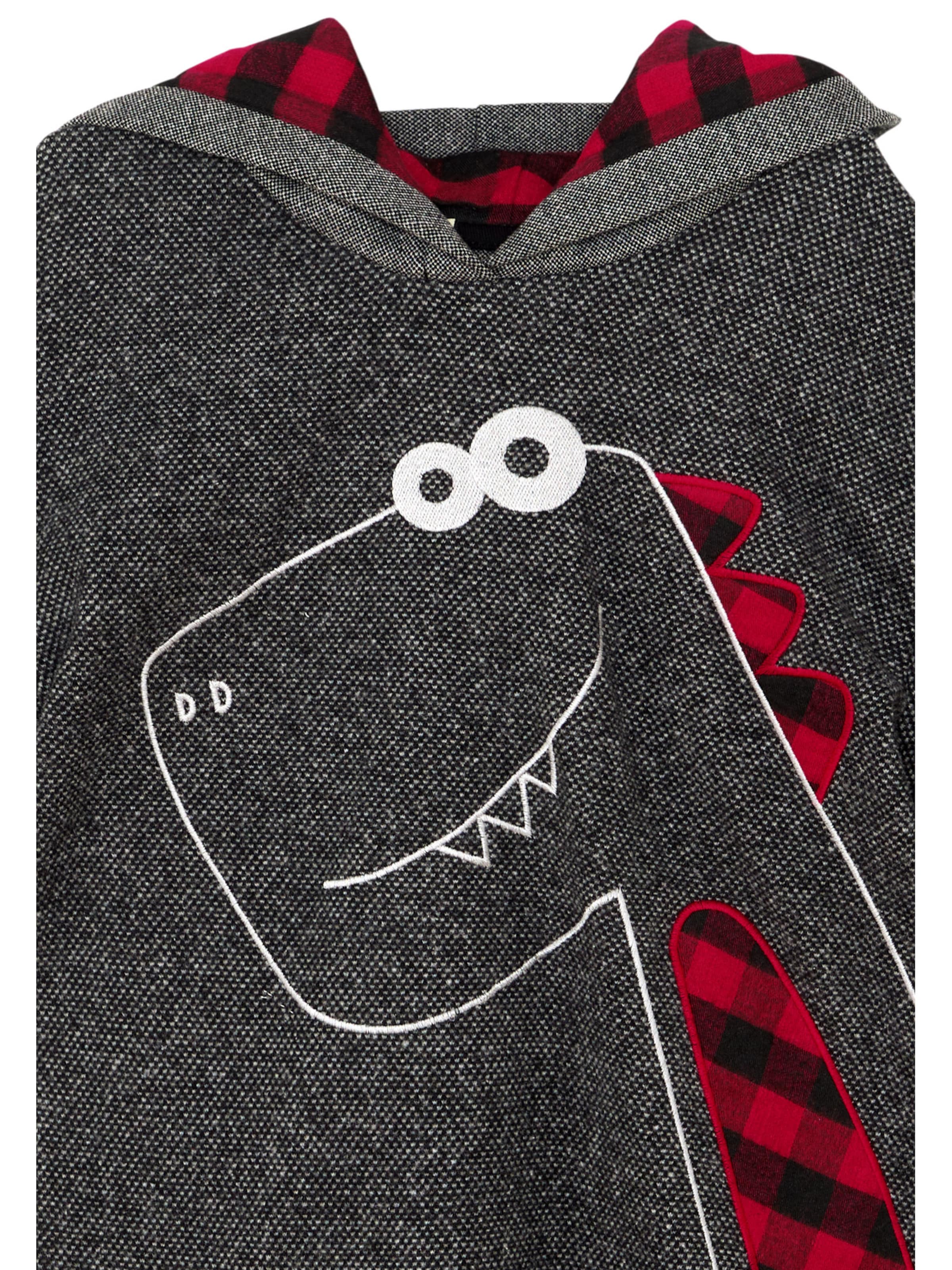 Denokids Trui ' CFF-24S1-061 ' in Grijs