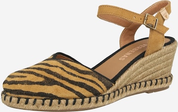 ruda VERBENAS Basutės 'MAGGIE': priekis