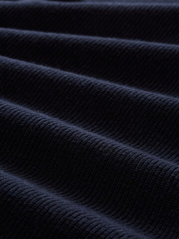 TOM TAILOR Pullover in Blau