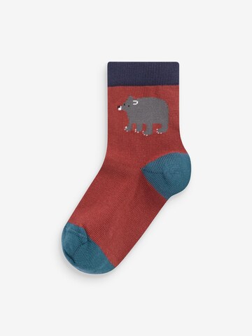 Next Socken in Braun