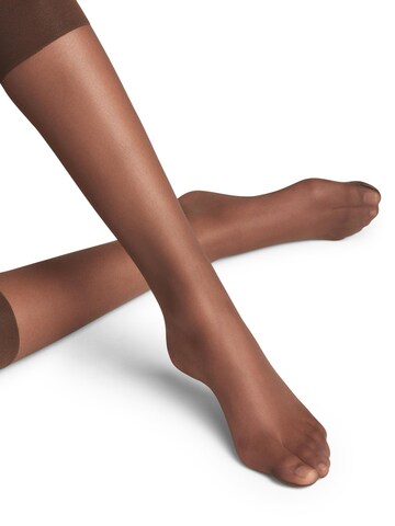 FALKE Knee High Socks 'Pure Matt' in Brown