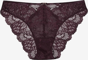 Panty 'Slip Olive, florale Spitze, goldfarbene Details, transparent S' di ESOTIQ in marrone: frontale