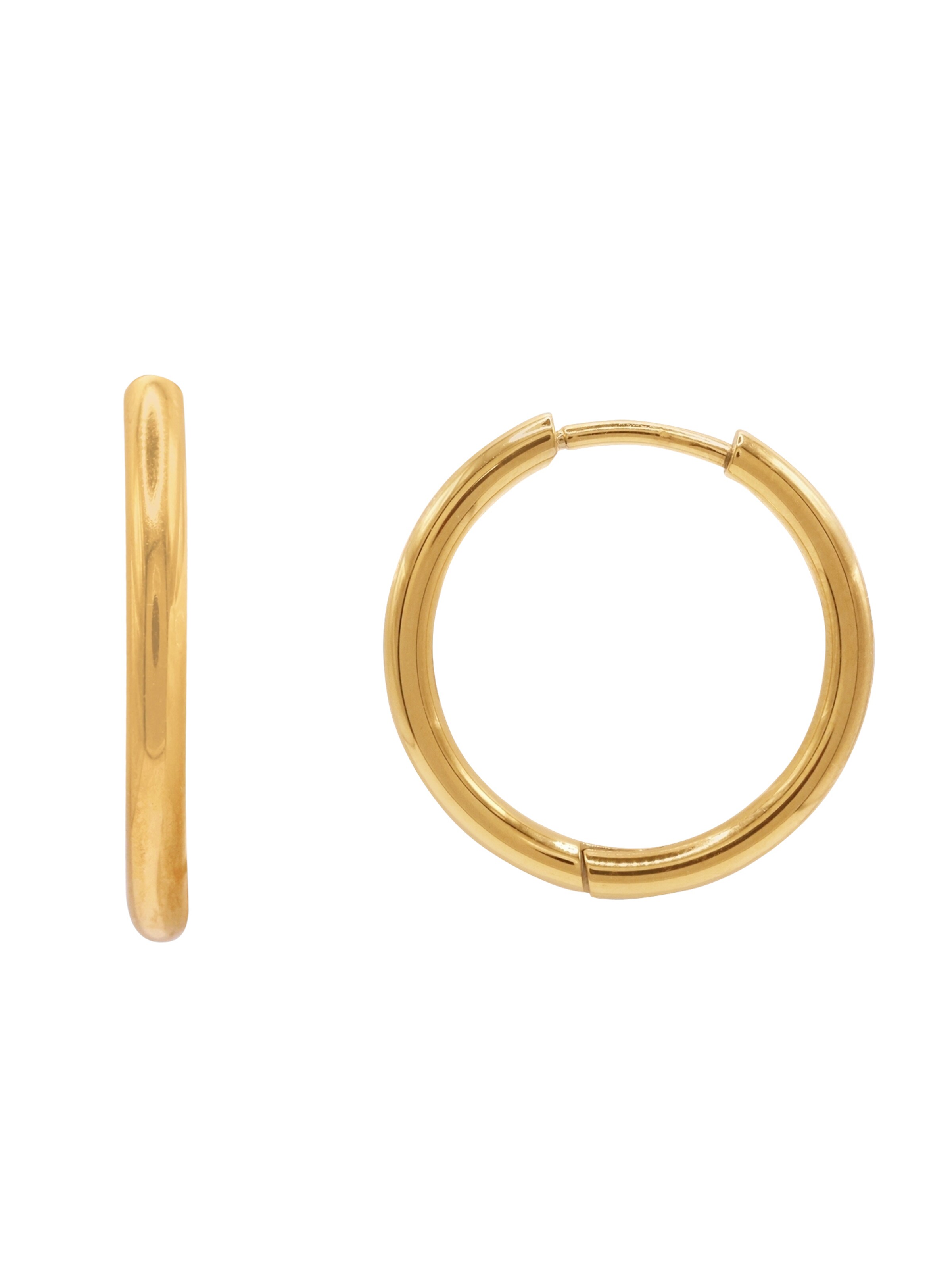 Heideman Earrings 'Amelie' in Gold