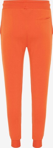 Redbridge Regular Pants 'Crawley' in Orange