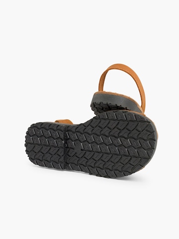 Pisamonas Sandale‌ in Braun