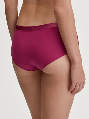 Panty 'Cate' di CALIDA in lilla