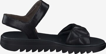 Paul Green Sandals in Black