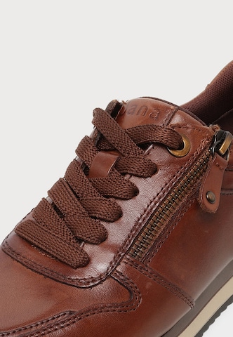Baskets basses JANA en marron
