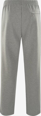 Effilé Pantalon HAJO en gris