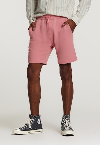 Shiwi Regular Shorts 'Steve' in Pink: predná strana