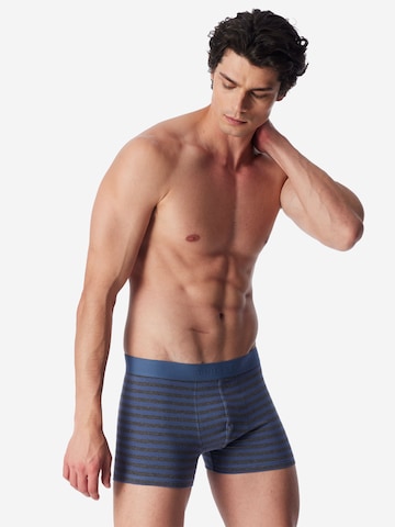 SCHIESSER Boxer shorts ' 95/5 Multi ' in Blue