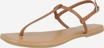 ABOUT YOU - Sandalias de dedo 'Cassandra' en marrón: frente