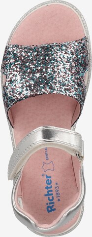 RICHTER Sandals in Silver