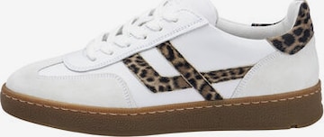 LLOYD Sneaker 'BRAVA' in Weiß: Vorderseite