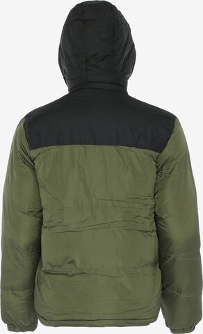 Colina Winter Jacket in Green