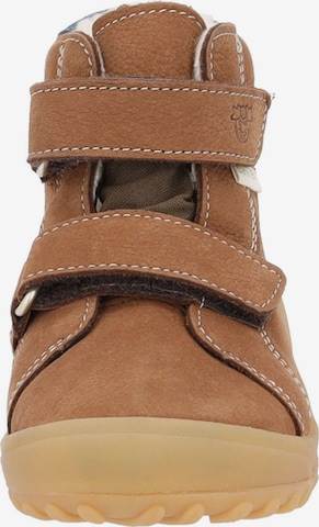 Pepino Sneakers in Brown