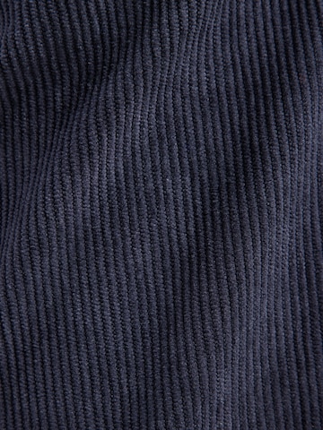 ONLY Tapered Pleat-Front Pants 'ONLPOPTRASH-LIAS' in Blue