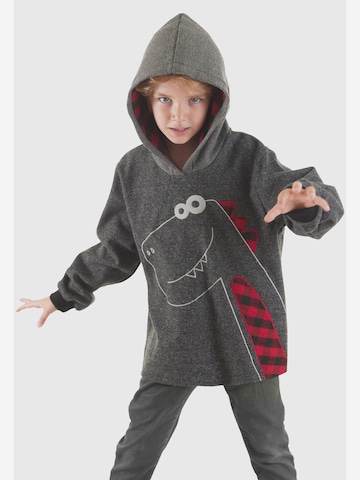 Denokids Trui ' CFF-24S1-061 ' in Grijs