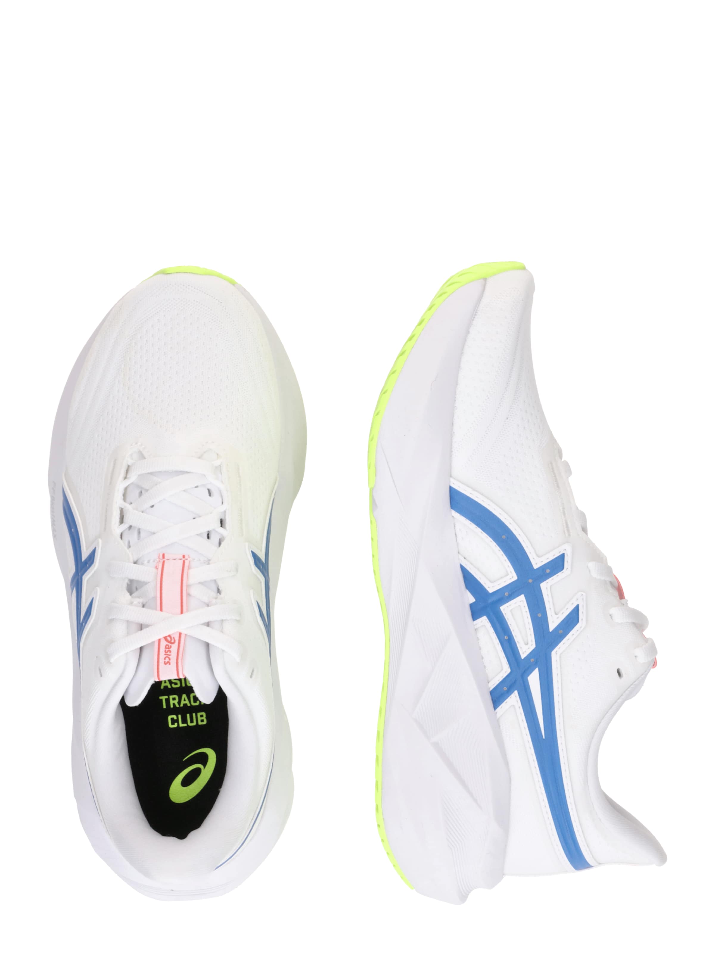 ASICS Обувь для бега 'NOVABLAST 5' в Белый