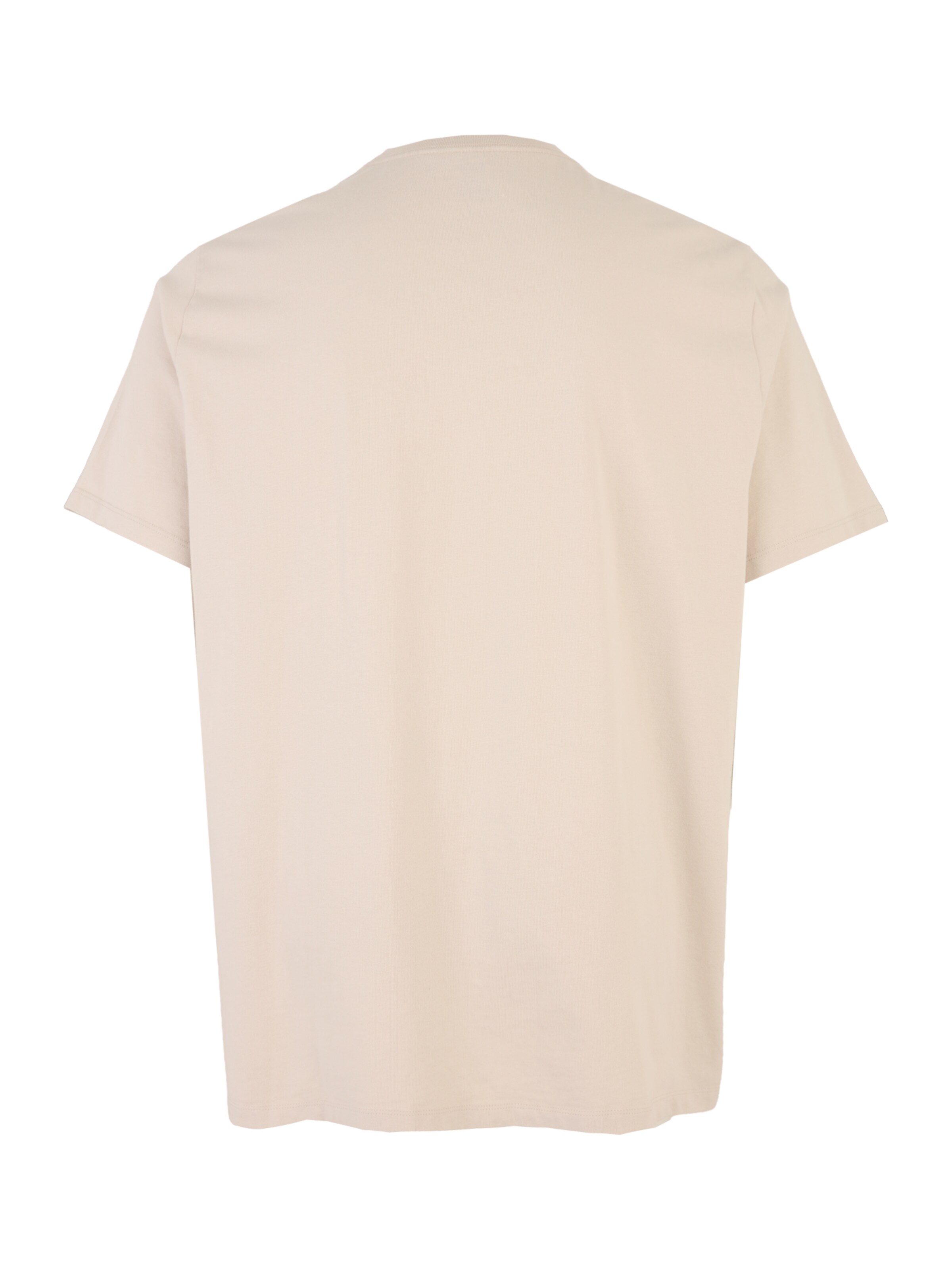 Levi's® Big & Tall Shirt in White