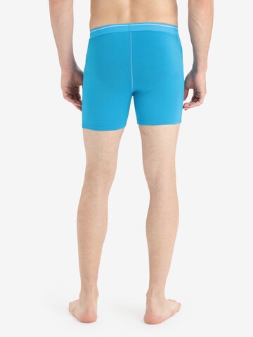 ICEBREAKER Sportunterhose 'Anatomica' in Blau