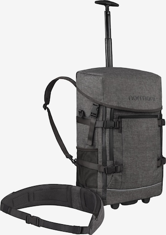 normani Trolley in Grijs: voorkant