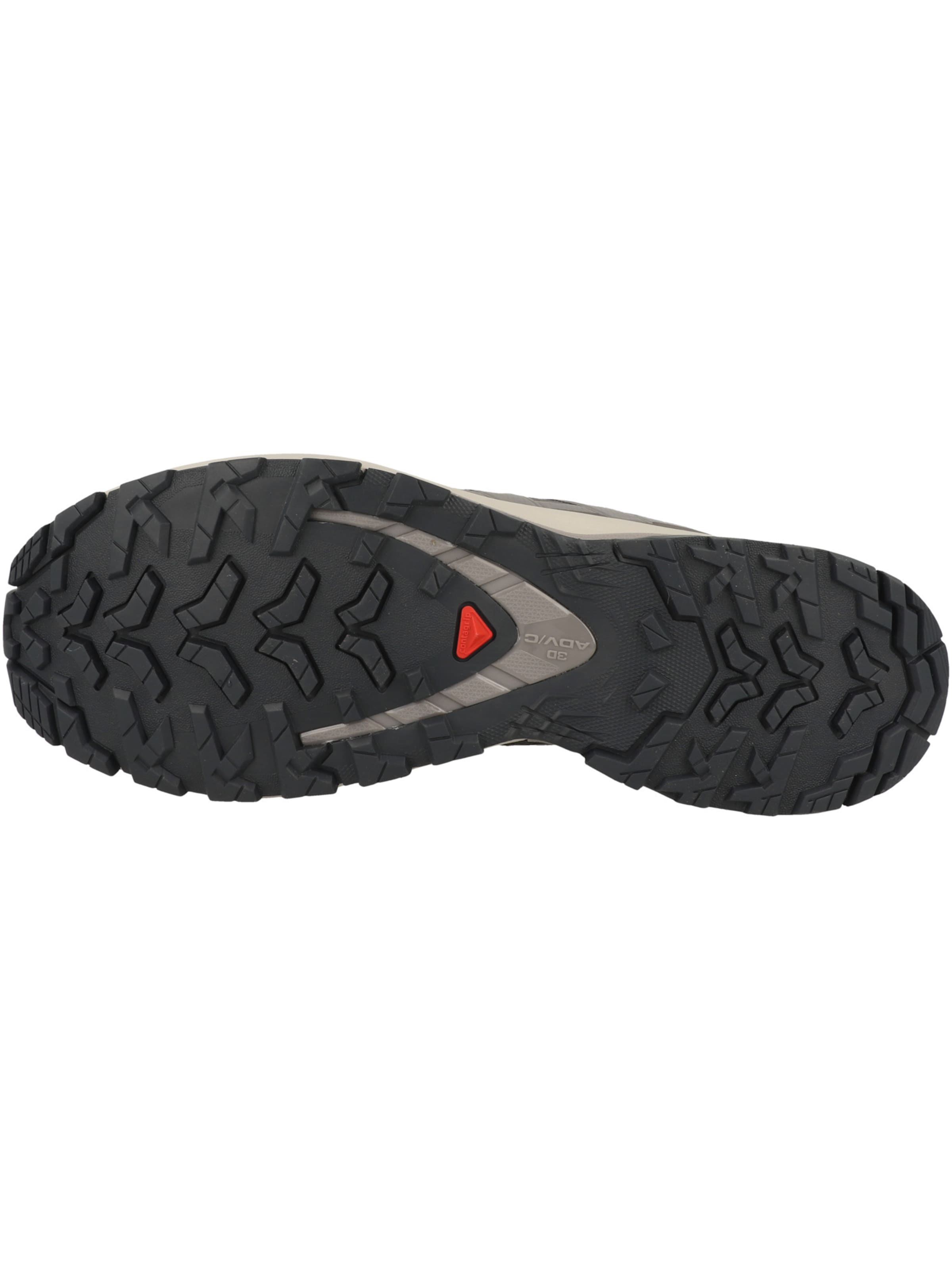 SALOMON Laufschuh 'XA Pro 3D V9' in Grau