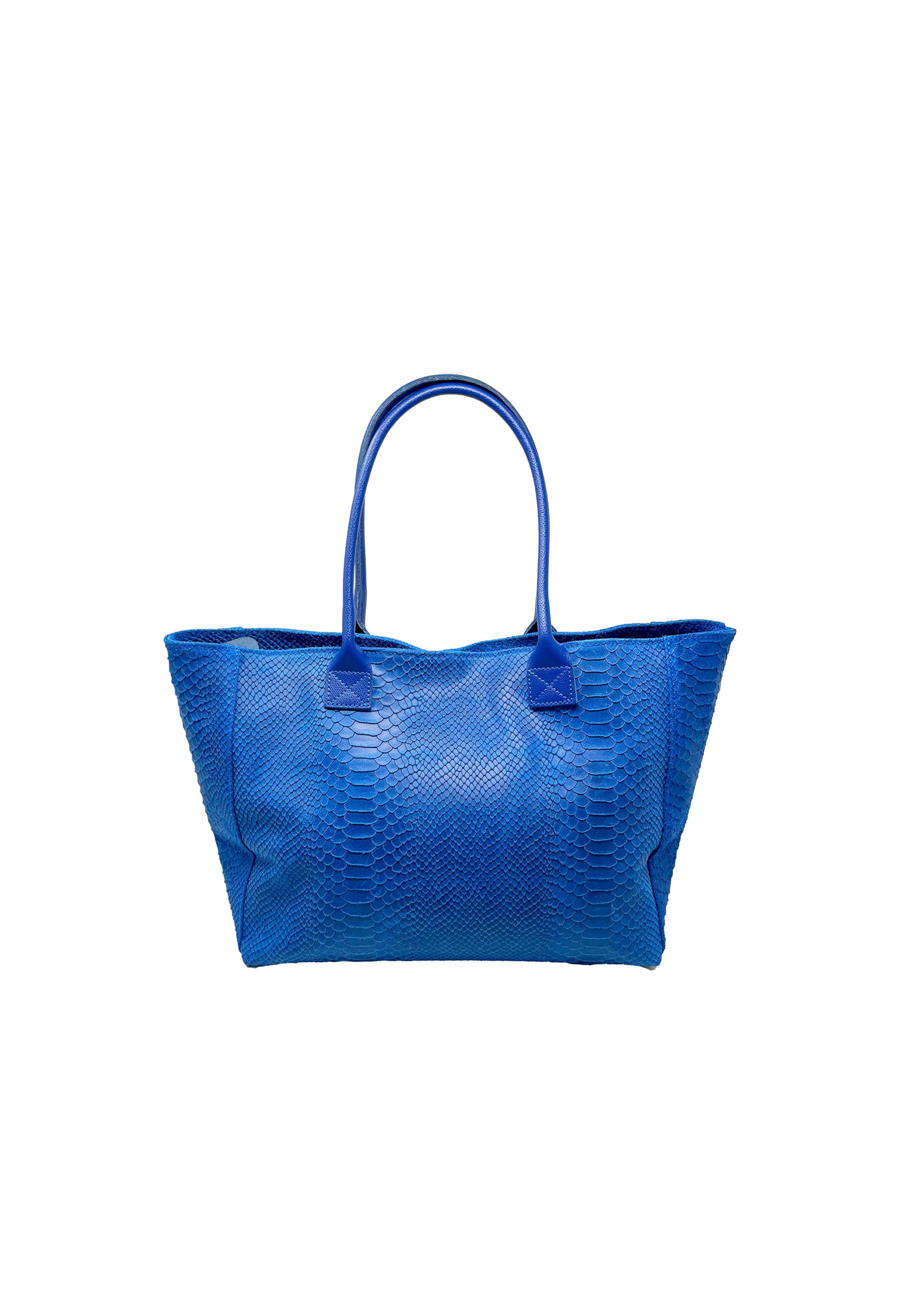 CHICCA BORSE Shopper in Blue: front