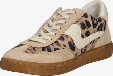 Dolce Vita Platform trainers in Brown: front