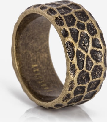 Akitsune Ring 'Terra' in Brown: front