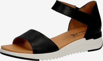 CAPRICE Sandals in Black: front