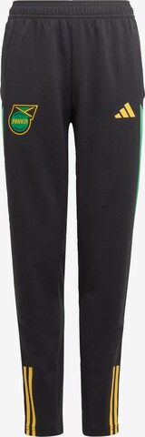 ADIDAS PERFORMANCE Regular Workout Pants 'Jamaika Tiro 23' in Black: front