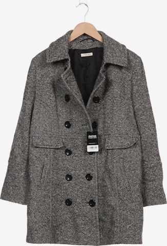 Christian Berg Jacket & Coat in XXL in Grey: front