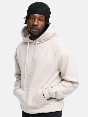 Daily Cotton Sweatshirt 'DCMONOWI' in Grey: front