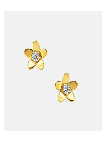 DIAMANT LETERNEL Earrings in Gold: front