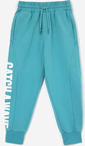 Gulliver Regular Pants in Blue: front