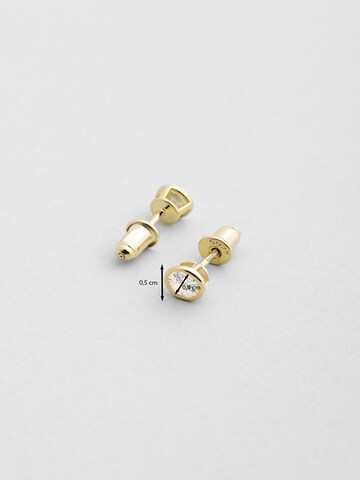 So Chic Oorbellen in Goud