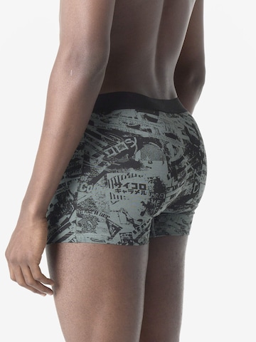 Boxeri de la KOROSHI pe mai multe culori