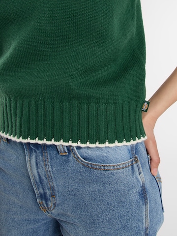 DICKIES Свитер 'Slayden' в Зеленый