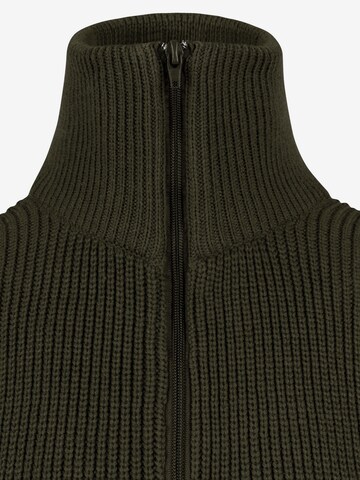 normani Sweater ' Tintrup ' in Green