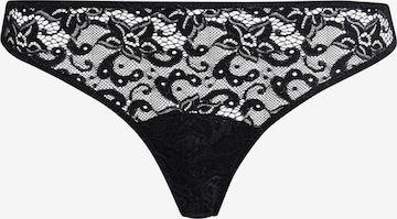 Hanro Thong 'French Lace' in Black: front