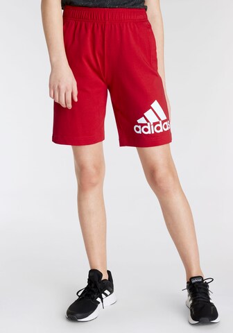 ADIDAS SPORTSWEAR Loosefit Urheiluhousut 'Essentials Big Logo ' värissä punainen: edessä