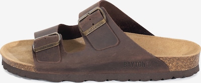 Bayton Pistokkaat 'Atlas' värissä suklaa, Tuotenäkymä